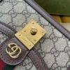 Gucci Ophidia Mini Shoulder Bag - 图片 6