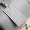 Louis Vuitton Aerogram City Keepall - 图片 8