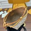 Louis Vuitton Multi Pochette Accessoires - 图片 9