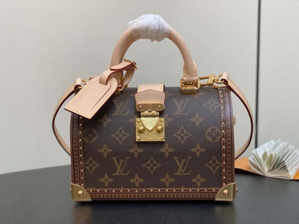 Louis Vuitton Speedy Trunk 20 Monogram Monogram