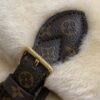 Louis Vuitton Nano Teddy Backpack - 图片 6