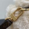 Louis Vuitton Nano Teddy Backpack - 图片 8