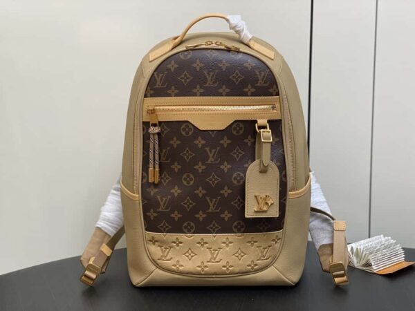 Louis Vuitton Outdoor Backpack