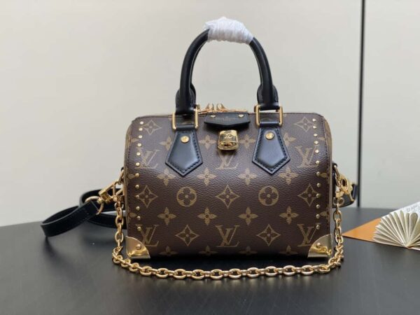 Louis Vuitton Speedy Trunk 20