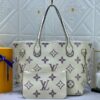 Louis Vuitton Neverfull MM Neutral Gradient - 图片 8