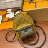Louis Vuitton Palm Springs Mini - 图片 2