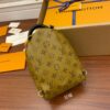 Louis Vuitton Palm Springs Mini - 图片 3