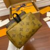 Louis Vuitton Palm Springs Mini - 图片 6