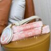 Louis Vuitton Monogram Multi Pochette Accessory Plume - 图片 5