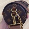 Louis Vuitton Papillon Trunk - 图片 10