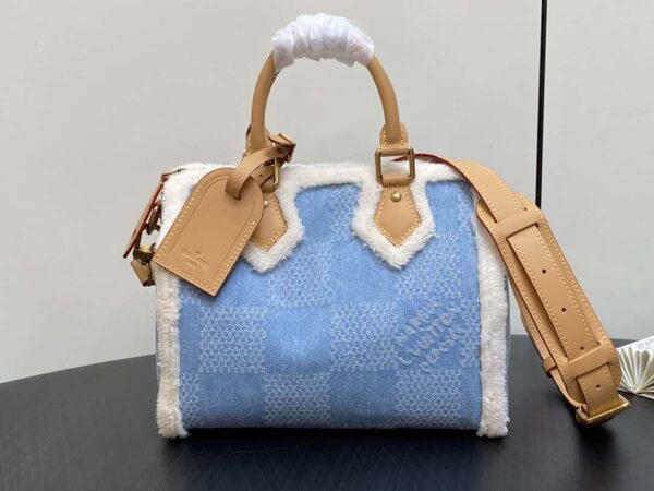 Louis Vuitton Speedy 25 Bandoulière