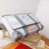 Louis Vuitton Trunk Slingbag Grey - 图片 3