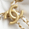CHANEL 25 Medium Handbag - 图片 6