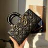 DIOR Medium Lady D-Joy Bag - 图片 3