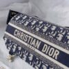 DIOR Small Diorcamp Bag - 图片 5