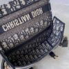 DIOR Small Diorcamp Bag - 图片 8