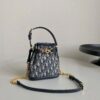 DIOR Small C'est Dior Bag - 图片 2