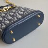 DIOR Small C'est Dior Bag - 图片 5