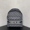 DIOR DiorTravel Backpack - 图片 2