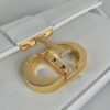 DIOR 30 Montaigne East-West Bag with Chain - 图片 6